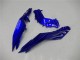Discount 2013-2024 Blue Black White Flame Kawasaki Ninja 300 EX300R Motorcycle Fairings Canada