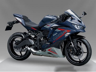 Discount 2019-2025 Blue Red Grey Kawasaki ZX25R ZX-25R Motorcycle Fairing Canada