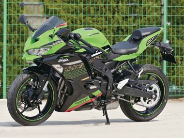 Discount 2019-2025 Green Black Red Honeycomb Kawasaki ZX25R ZX-25R Motorcycle Fairings Canada