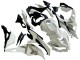Discount 2019-2025 White Silver Green Black Trick Star Kawasaki ZX25R ZX-25R Motorcycle Fairings Canada