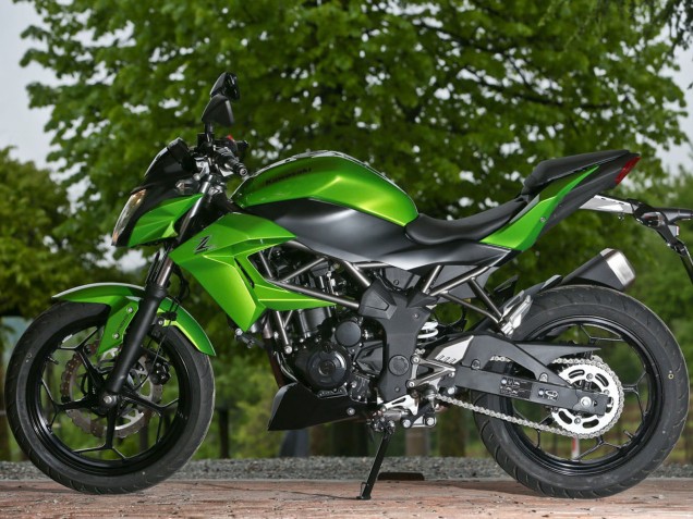 Discount 2015-2016 Green Matte Black Kawasaki Z250/Z300 Motorcycle Fairings Canada