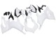 Discount 2020-2024 Unpainted Ducati Panigale V2 Motorcycle Fairings Canada