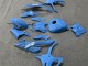 Discount 2023-2024 Glossy Blue BMW S1000RR Motorcycle Fairings Canada