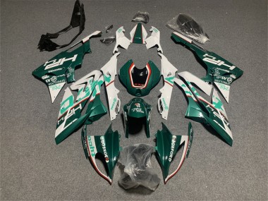Discount 2017-2018 White Green BMW S1000RR Motorcycle Fairings Canada