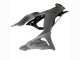 Discount 2023-2025 Grey Ninja Kawasaki ZX6R Motorcycle Fairings Canada
