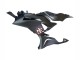 Discount 2023-2025 Black White with Flower Kawasaki ZX6R Motorcycle Fairings Canada