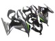 Discount 2013-2024 Glossy Black Matte Black Green Kawasaki EX300 Motorcycle Fairings Canada