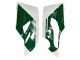 Discount 2015-2020 White Red Green Matte Black Ducati 1299 Motorcycle Fairings Canada