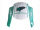 Discount 2005-2006 Light Green White Glossy Black JoeRocket Honda CBR600RR Motorcycle Fairings Canada