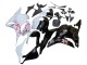 Discount 2009-2012 White Cherry Blossom Glossy Black Honda CBR600RR Motorcycle Fairings Canada