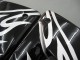 Discount 2004-2005 Black White Kawasaki ZX10R Motorcycle Fairings Canada