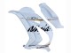 Discount 2016-2020 White Gold Black Kawasaki ZX10R Motorcycle Fairings Canada