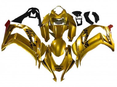 Discount 2021-2025 Gold Black Kawasaki ZX10R Motorcycle Fairings Canada