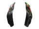 Discount 2021-2025 Green Black Red Kawasaki ZX10R Motorcycle Fairings Canada