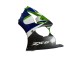 Discount 1998-1999 Green White Blue Silver Glossy Black Kawasaki ZX6R Motorcycle Fairings Canada