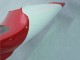 Discount 1998-1999 Red White Black Dunlop Yamaha YZF 1000 R1 Motorcycle Fairings Canada