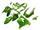 Discount 2000-2001 Green Flame Kawasaki ZX9R Motorcycle Fairings Canada