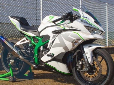 Discount 2019-2025 White Silver Green Kawasaki ZX4R ZX-4RR Motorcycle Fairings Canada