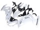 Discount 2012-2016 White Black Kawasaki EX650 Motorcycle Fairings Canada