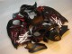 Discount 1996-2007 Black Red Flame Suzuki GSXR 1300 Hayabusa Motorbike Fairing Canada Discount 1996-2007 Black Red Flame Suzuki GSXR 1300 Hayabusa Motorbike Fairing Canada
