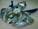 Discount 2006-2007 Blue Flame Silver Honda CBR1000RR Motorcycle Fairing Kits Canada Discount 2006-2007 Blue Flame Silver Honda CBR1000RR Motorcycle Fairing Kits Canada